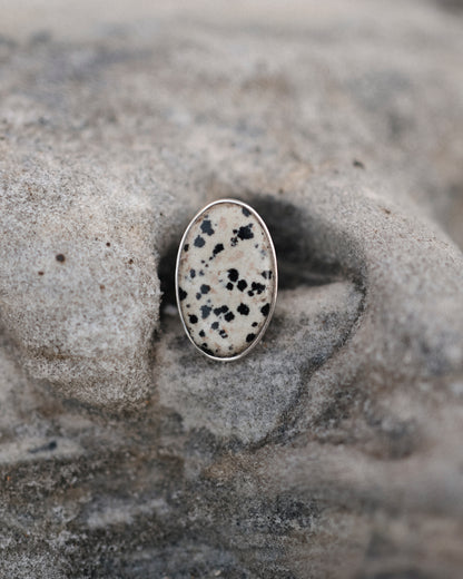 Dalmatian Jasper Ring